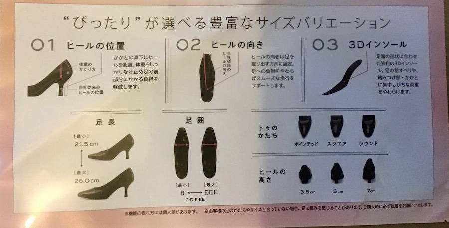サクセスウォークのパンフレット(ワイズ展開の説明)